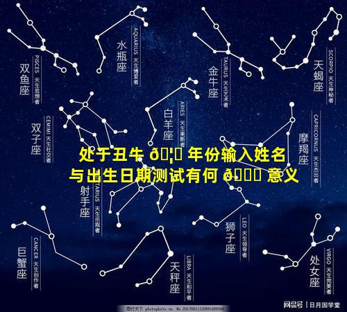 处于丑牛 🦆 年份输入姓名与出生日期测试有何 🍁 意义
